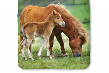 Parure de lit 140x200 cm Good Morning no.31123 multi