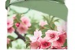 Parure de lit 140x200 cm Good Morning 33183