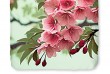 Parure de lit 140x200 cm Good Morning 33183