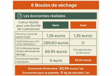 Boules de séchage en laine organique (lot de 6)