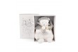 Ours argent Doudou Cape - Doudou 25 ans
