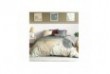 Parure de lit 240x260 cm 100% Percale de Coton 71 fils Soha