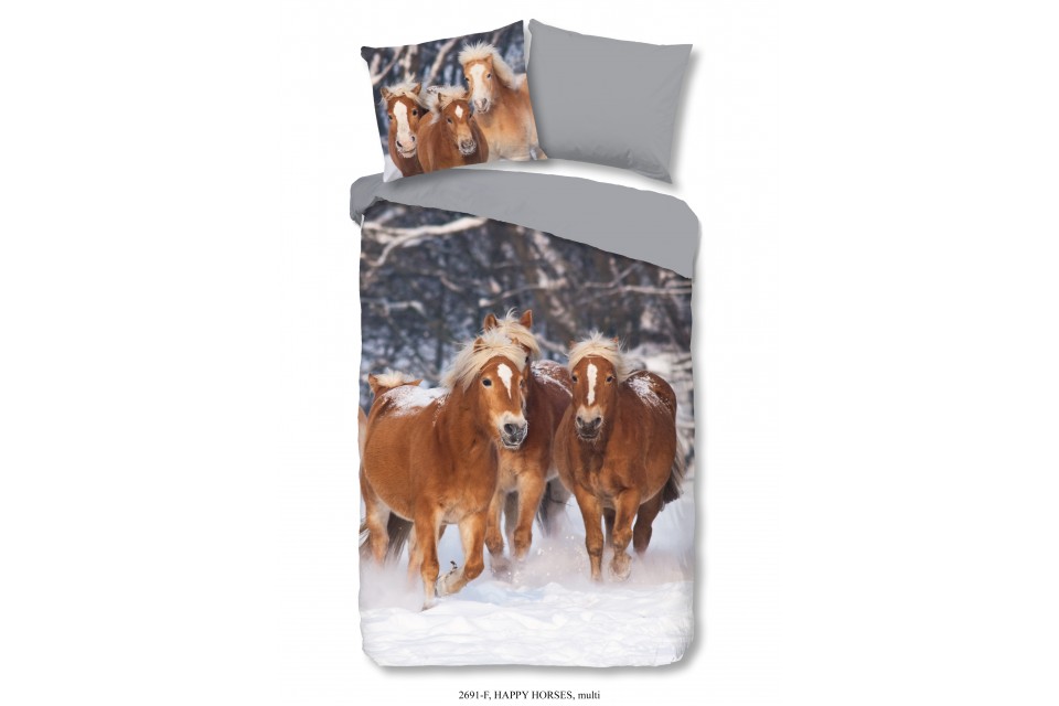 Parure de lit 140x200 / 220 cm flanel kids Good Morning 2691