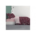 Parure de couette Coton 57 fils Phytea : Taille - 240 x 260 cm