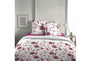 Parure de lit 240x260 Coton Oxo Cassis