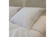 Oreiller 60x60 luxe 90% duvet blanc