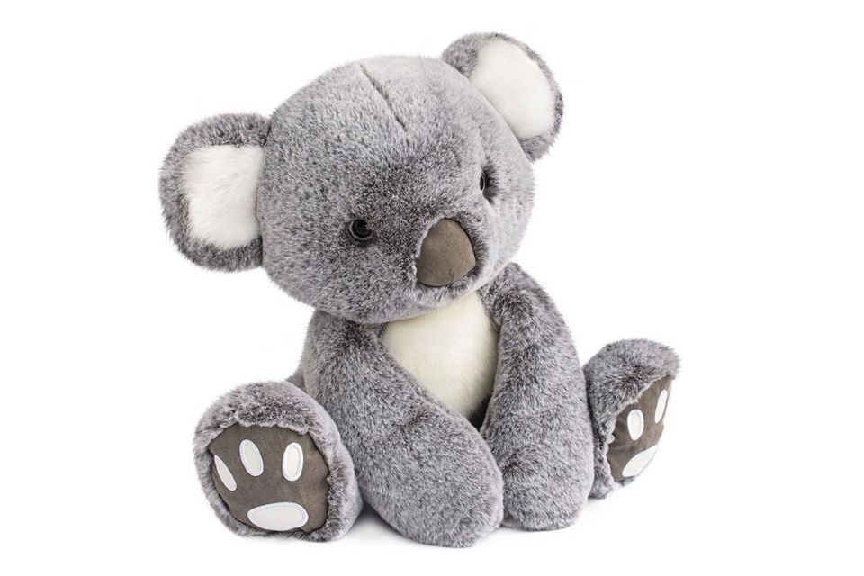 Koala XXL - 70 cm
